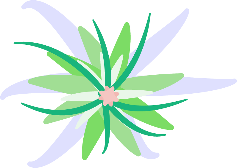 Flower illustration